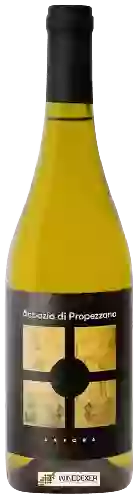 Wijnmakerij Abbazia di Propezzano - Anfora