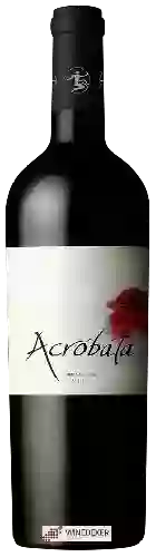 Wijnmakerij Acróbata - Entre Cordilleras