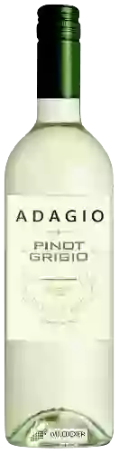 Wijnmakerij Adagio - Pinot Grigio
