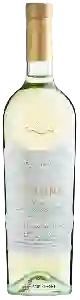 Wijnmakerij Aimone - Bianco