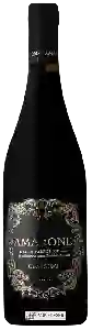 Wijnmakerij Aldi - Amarone della Valpolicella Classico
