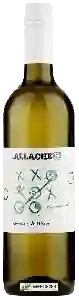 Wijnmakerij Allacher - Grüner Veltliner