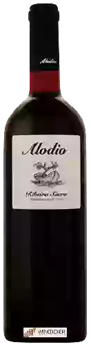 Wijnmakerij Alodio - Ribeira Sacra