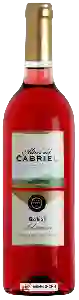 Wijnmakerij Altos del Cabriel - Selecciόn Bobal