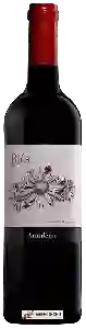 Wijnmakerij Aranleón - Blés Tinto