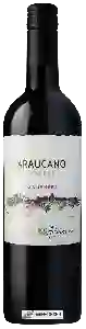 Wijnmakerij Araucano - Carmen&egravere Reserva