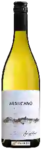 Wijnmakerij Araucano - Chardonnay Reserva