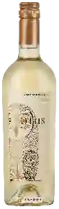 Wijnmakerij Asio Otus - Bianco