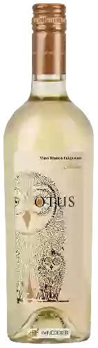Wijnmakerij Asio Otus - Bianco