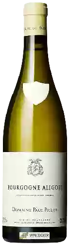 Wijnmakerij Paul Pillot - Bourgogne Aligoté