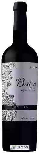 Wijnmakerij Baica - Barricado Monastrell