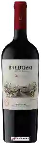 Wijnmakerij Balduzzi - Reserva Carmen&egravere