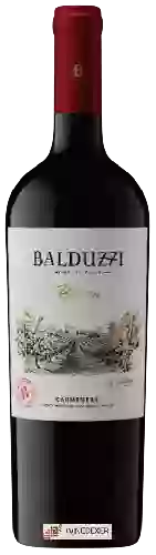 Wijnmakerij Balduzzi - Reserva Carmen&egravere