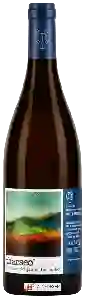 Domaine Benjamin Taillandier - Tharseo