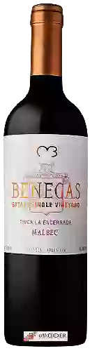 Wijnmakerij Benegas - La Encerrada Vineyard Malbec