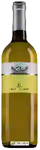 Wijnmakerij Borgo di Colloredo - Malvasia
