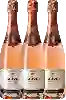 Wijnmakerij Bouvet-Ladubay - Rosé de Loire