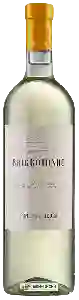 Wijnmakerij Briccotondo - Briccotondo Gavi