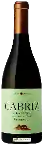 Wijnmakerij Cabriz - Dão Reserva Branco