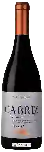 Wijnmakerij Cabriz - D&atildeo Reserva