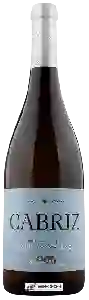Wijnmakerij Cabriz - Sauvignon Blanc