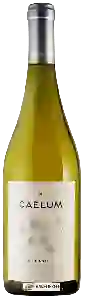 Wijnmakerij Caelum - Chardonnay