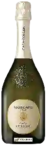 Wijnmakerij Casa Coller - Moscato Dolce