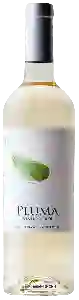 Wijnmakerij Casa de Vila Verde - Pluma