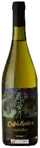 Wijnmakerij Castel Noarna - Nosiola