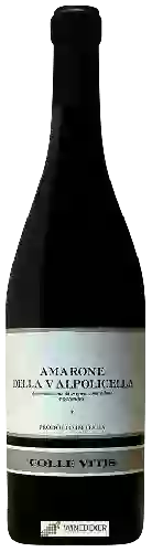 Wijnmakerij Colle Vitis - Amarone della Valpolicella