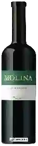 Wijnmakerij Weinbau Cottinelli - Molina