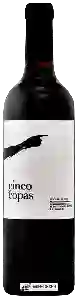Wijnmakerij Cuatro Mil Cepas - Cinco de Copas