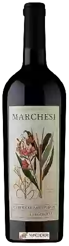 Wijnmakerij David Marchesi