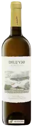 Wijnmakerij Diluvio - Albariño