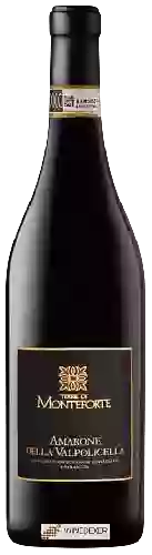 Wijnmakerij Terre di Monteforte Wijnmakerij Terre di Monteforte