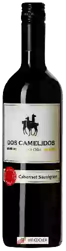 Wijnmakerij Dos Camelidos