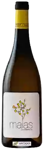 Wijnmakerij Faldas da Serra - Maias Branco