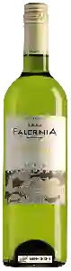 Wijnmakerij Falernia - Pedro Ximenez