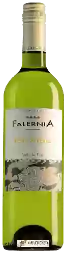 Wijnmakerij Falernia - Pedro Ximenez