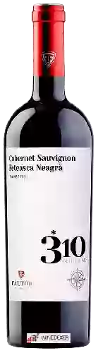 Wijnmakerij Fautor - 310 Altitudine Cabernet Sauvignon - Feteasca Neagra