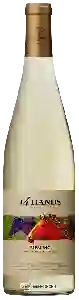 Wijnmakerij 14 Hands - Riesling