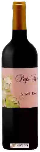 Wijnmakerij Peyre Rose - Clos Syrah Léone