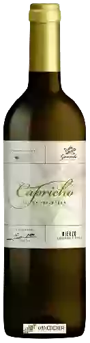Wijnmakerij Gancedo - Capricho Val de Paxariñas Godello