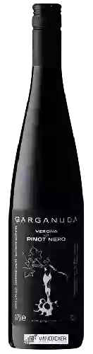 Wijnmakerij Garganuda