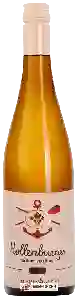 Wijnmakerij Hollenburger - Grüner Veltliner