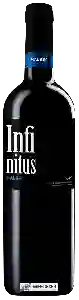 Wijnmakerij Infinitus - Malbec
