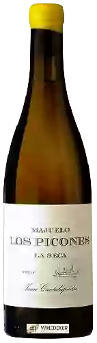 Wijnmakerij Isaac Cantalapiedra - Majuelo Los Picones La Seca