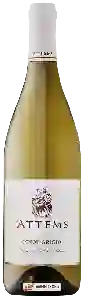 Wijnmakerij Attems - Pinot Grigio