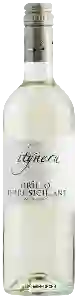 Wijnmakerij Itinera - Grillo