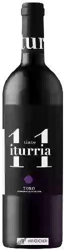 Wijnmakerij Iturria - Tinto Iturria